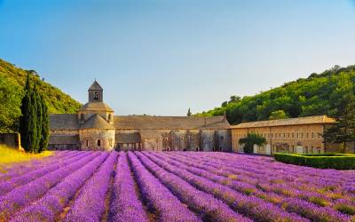 Prodej Provence